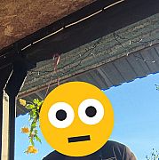 Nieufamnikomu - žena, 30 let, Bełchatów