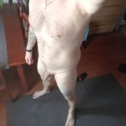 DeeMKa - mężczyzna, 45 lat, Myślenice