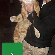 350 - чоловік, 38 років, Genk