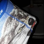 OnReal000 - мужчина, 33 лет, Bielsko-Biała