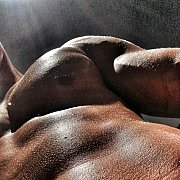 1Malymis1 - mężczyzna, 44 lat, Heilbronn