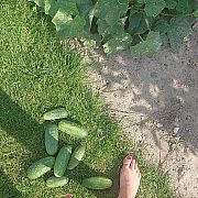 AnnoDomini - žena, 37 let, Lublin