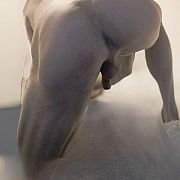 Wieczny1343 - man, 44 years, Leeuwarden