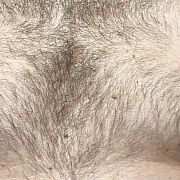 Mati75 - чоловік, 50 років, Wrocław