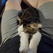 Discreet40 - mężczyzna, 43 lat, Lublin