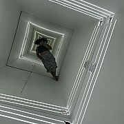 Jairys - жінка, 26 років, Kostrzyn