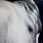 Kryst2137 - мужчина, 42 лет, Poznań