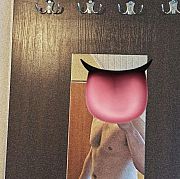 WiciaNova - mężczyzna, 23 lat, Choszczno