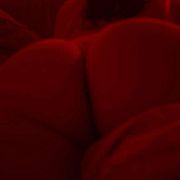 Konstancja232 - žena, 34 let, Zielona Góra