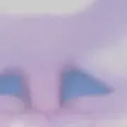 Nadluzejznajomosc35