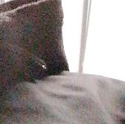 BUlek96 - mężczyzna, 29 lat, Węgorzyno