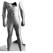 Kojot3211 - muž, 39 let, Siedlce