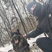 Kominiarz1337 - muž, 32 let, Łódź