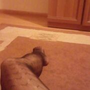 AngelinaDraco - para (mężczyzna 35 lat, kobieta 33 lat), Nisko