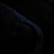 576948505Odwazneczeksm