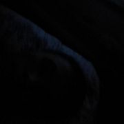 576948505Odwazneczeksm - mężczyzna, 26 lat, Wschowa