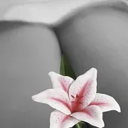 Lolitkaxx - frau, 34 Jahre, Bydgoszcz