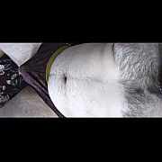 Wysokimisiek93 - muž, 33 let, Gliwice