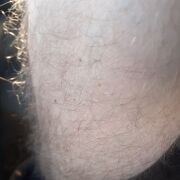 Dates - mężczyzna, 43 lat, Toruń