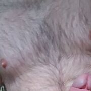 OnWlkpZach - muž, 38 let, Lwówek