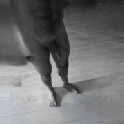 Poznam1990 - mężczyzna, 35 lat, Kłodzko