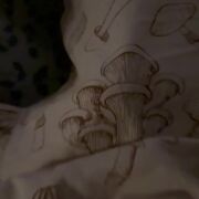 Kawakawka - mężczyzna, 45 lat, Goleniów