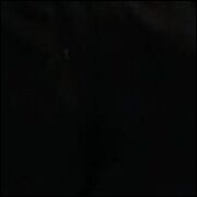 Karol98B