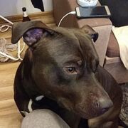 0Bemaybe22 - muž, 24 let, Warszawa