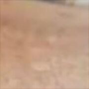 AdamMlodawski - транссексуали, 30 років, Kielce