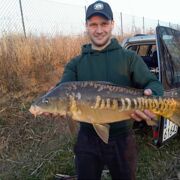 Bartek151017 - man, 30 years, Wschowa