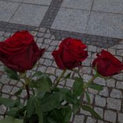 Stronniczy - чоловік, 26 років, Wrocław