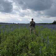 American2 - mężczyzna, 24 lat, Szczecin