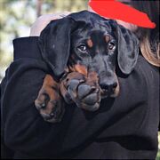 VikQunia - woman, 20 years, Łódź