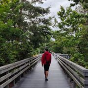 Dennypoz - mężczyzna, 29 lat, Poznań