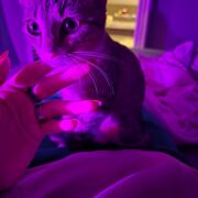 Pysia789 - женщина, 37 лет, Bydgoszcz