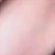 ToJaTwojaSuczka - frau, 31 Jahre, Tilburg
