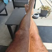 Alexmenn