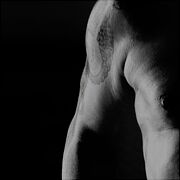 NineInchNails
