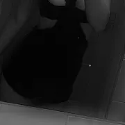 Werkaxxq - женщина, 22 лет, Przeworsk