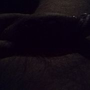 123Slawek - mężczyzna, 47 lat, Brodnica