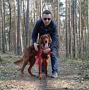 Amoro - mann, 54 Jahre, Warszawa